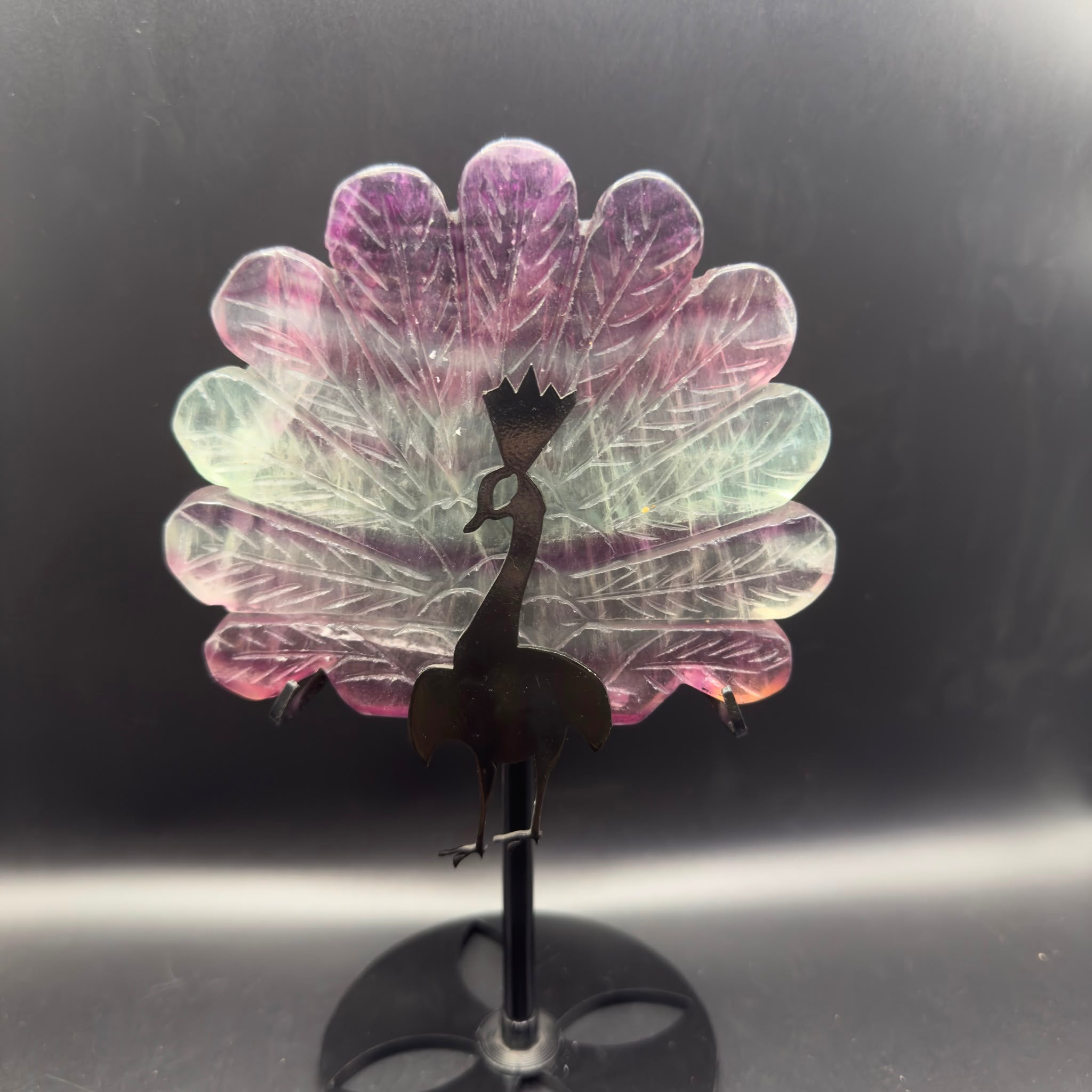 Fluorite Peacock | Focus & Grounding | Crystals UK