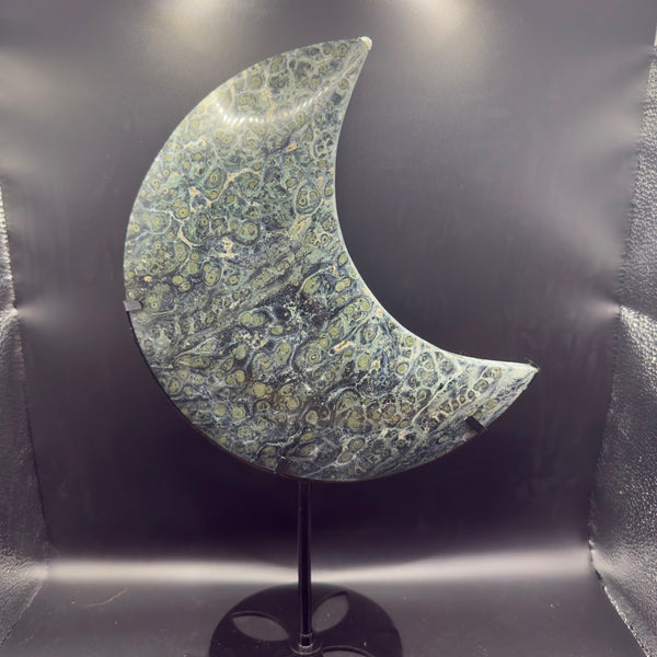 Large Kambaba Jasper Moon | Grounding | Crystals UK