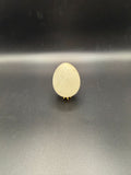This elegant white onyx egg is simple yet powerful. With its clean, soft tones, it brings a sense of calm strength and clarity.

Often associated with focus and emotional balance, perfect for grounding your energy.

✨ Smooth egg shape
✨ Classic white tones
✨ One-of-a-kind piece